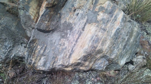 Гигантские зелёные валуны для ландшафтного дизайна весом более 5 тонн купить в Асбесте