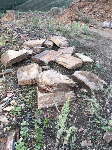 Плитняк кора дерева 50-100мм для пошаговых дорожек купить в Асбесте